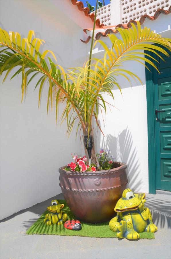 Casa Nine Con Piscina Vacacional La Palma Appartement Breña Baja Buitenkant foto