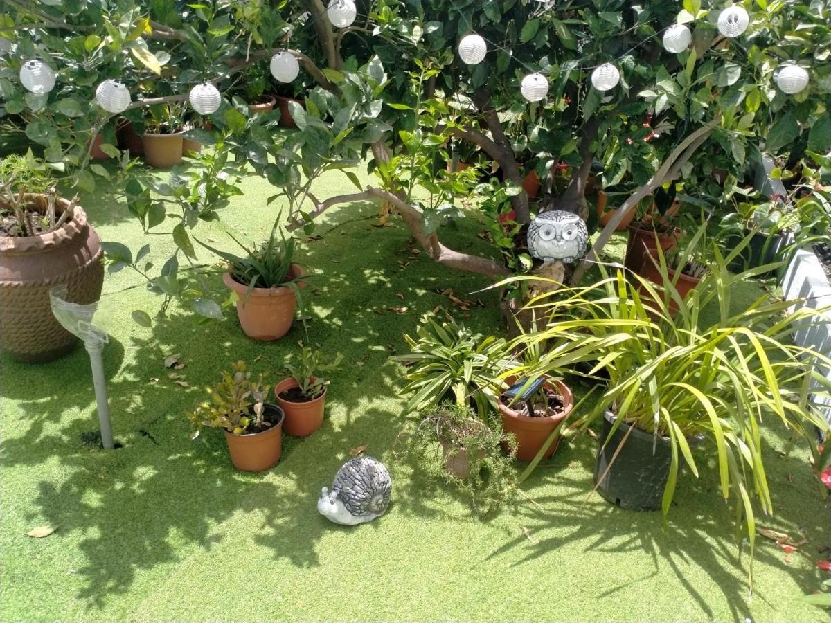 Casa Nine Con Piscina Vacacional La Palma Appartement Breña Baja Buitenkant foto